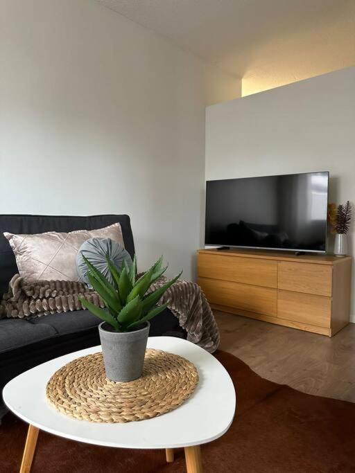 Central City Suite - King Size Bed - Wi-Fi - Sauna 罗瓦涅米 外观 照片