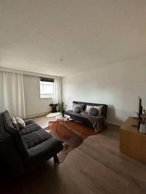 Central City Suite - King Size Bed - Wi-Fi - Sauna 罗瓦涅米 外观 照片